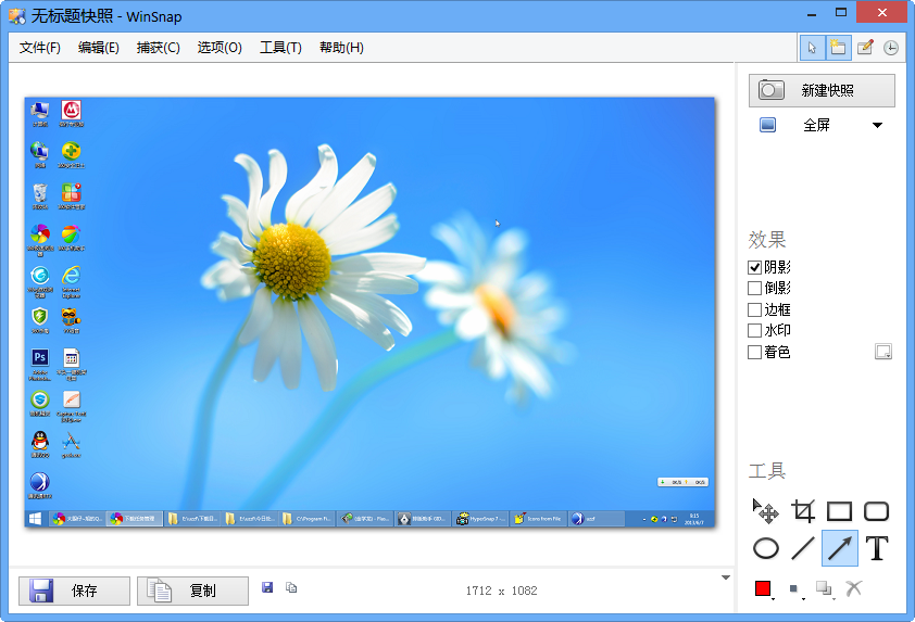 WinSnap4.5.7汉化版
