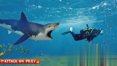 巨齿鲨袭击