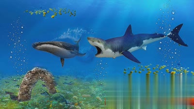 巨齿鲨袭击